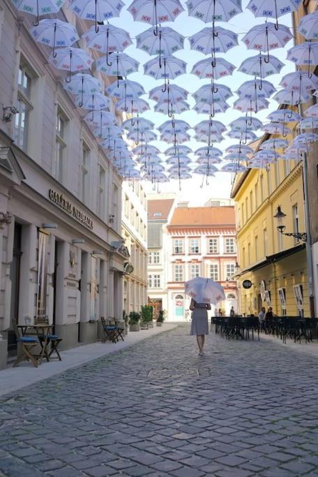 Diamond Residence In Old Town With Free Parking Братислава Екстериор снимка