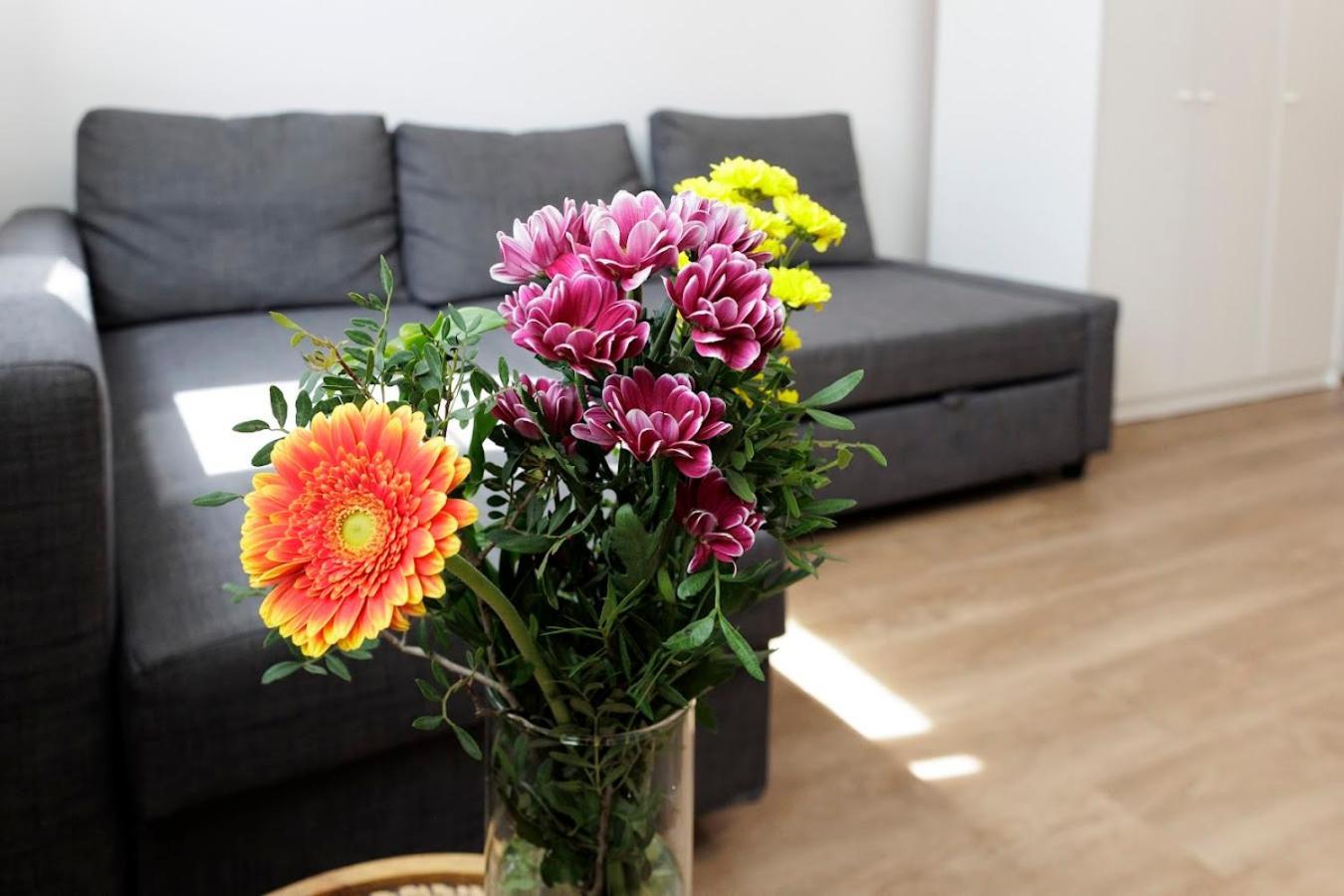 Diamond Residence In Old Town With Free Parking Братислава Екстериор снимка